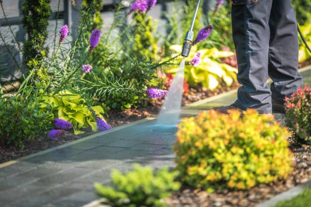 Best Animal Enclosure Cleaning  in Plymouth, PA