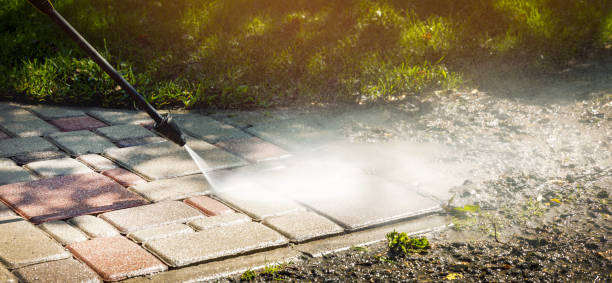 Best Roof Washing  in Plymouth, PA