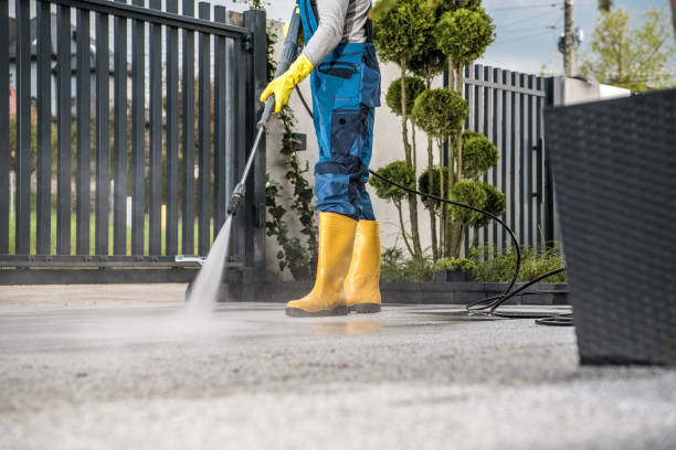 Best Driveway Pressure Washing  in Plymouth, PA